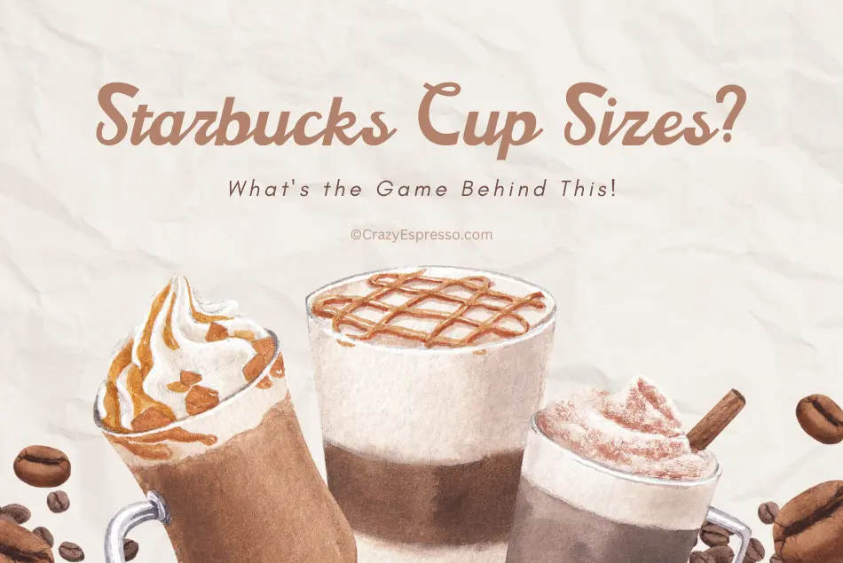 Ultimate Guide To Starbucks Cups Sizes