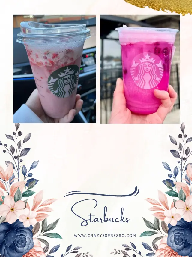 6 Best Starbucks Drinks To Try Refreshers in 2023 Crazy Espresso