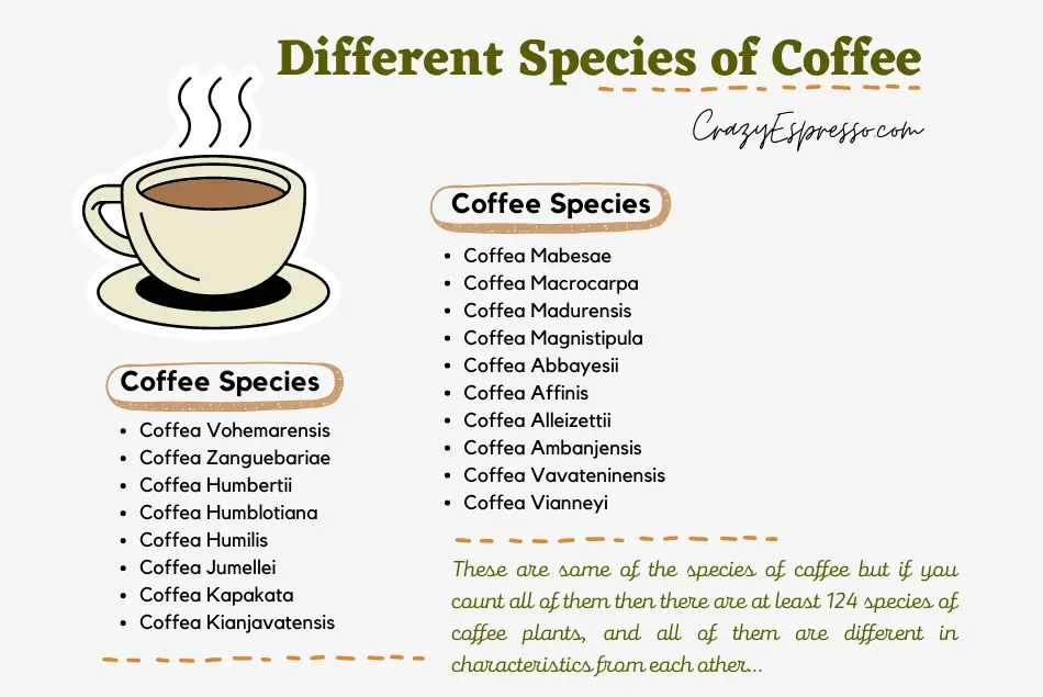 Different Species of Coffee