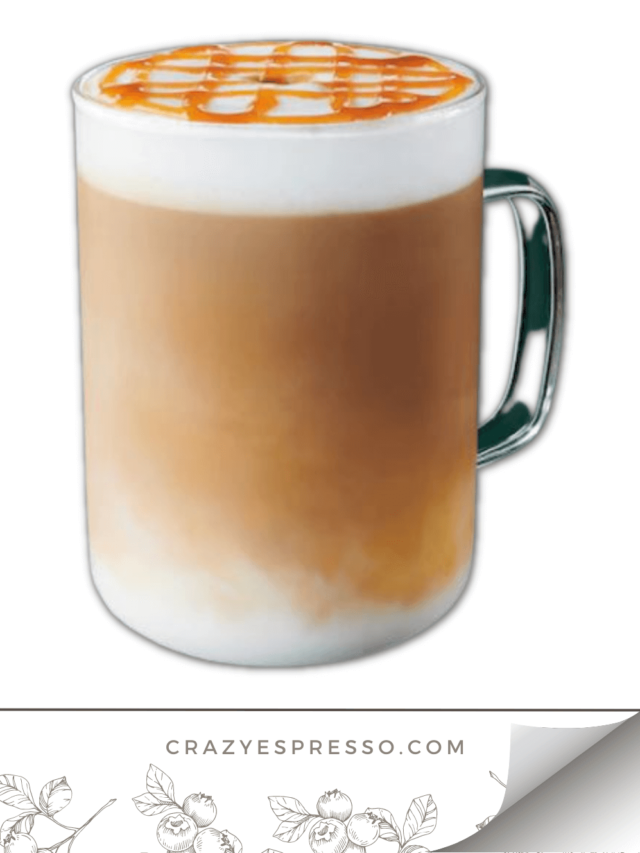 How to Make a Hot Skinny Caramel Macchiato at Home Crazy Espresso