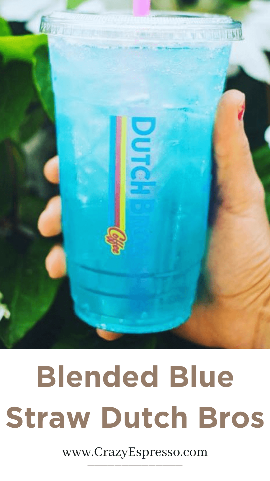 Blue Straw Dutch Bros Recipe A Smooth and Chocolatey Coffee