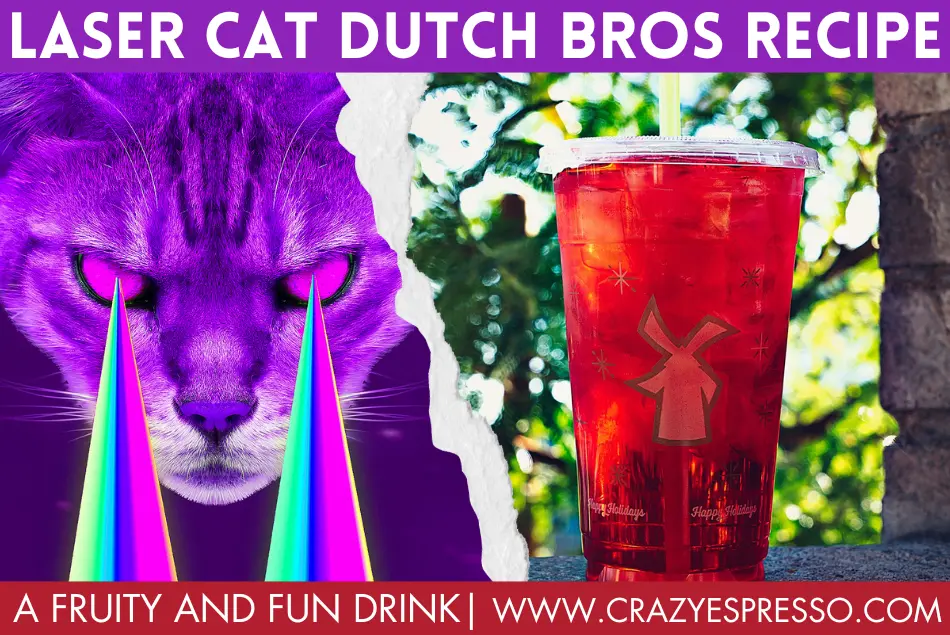 Laser Cat Dutch Bros