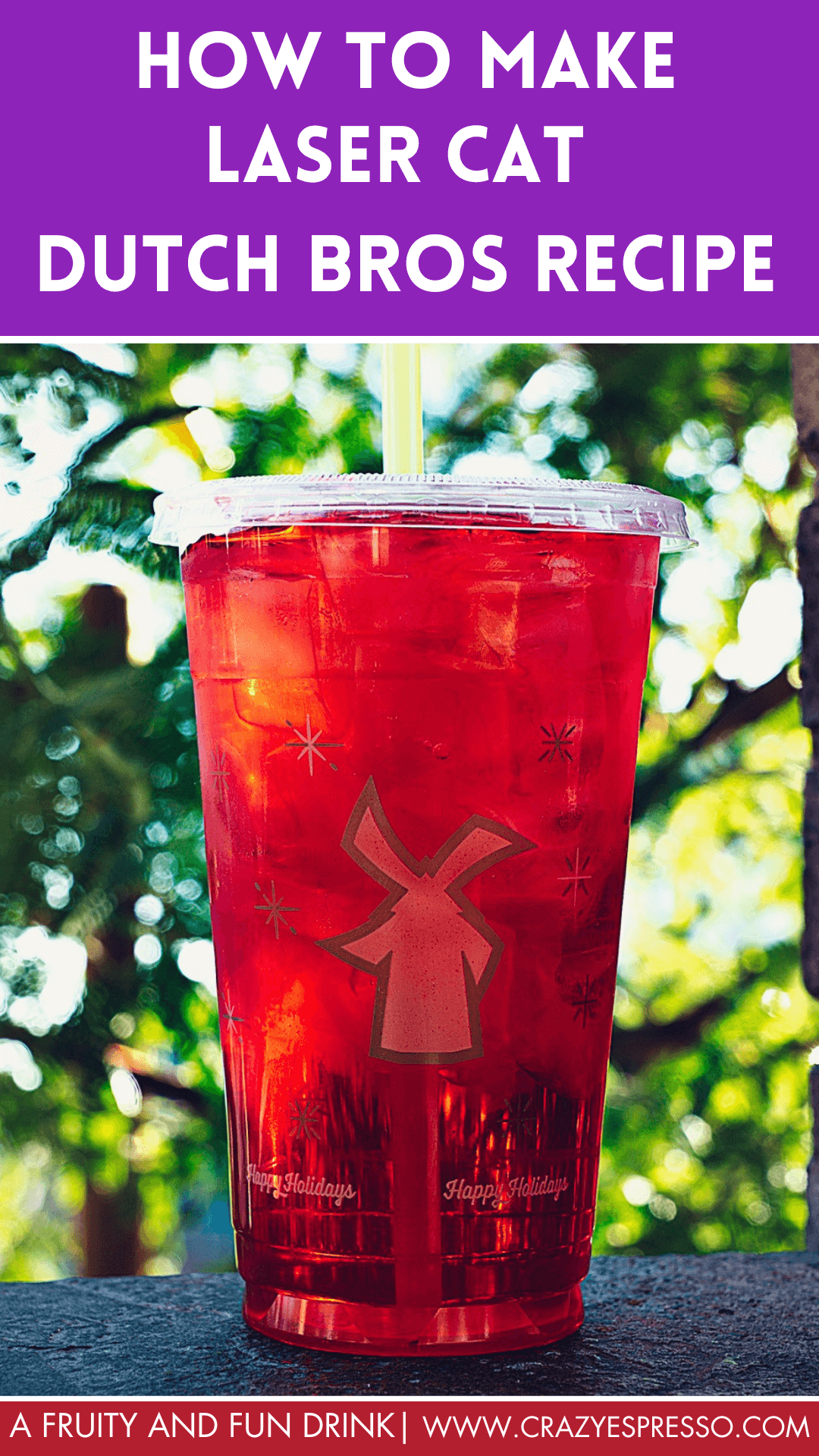 Laser Cat Dutch Bros Recipe A Fruity and Fun Drink