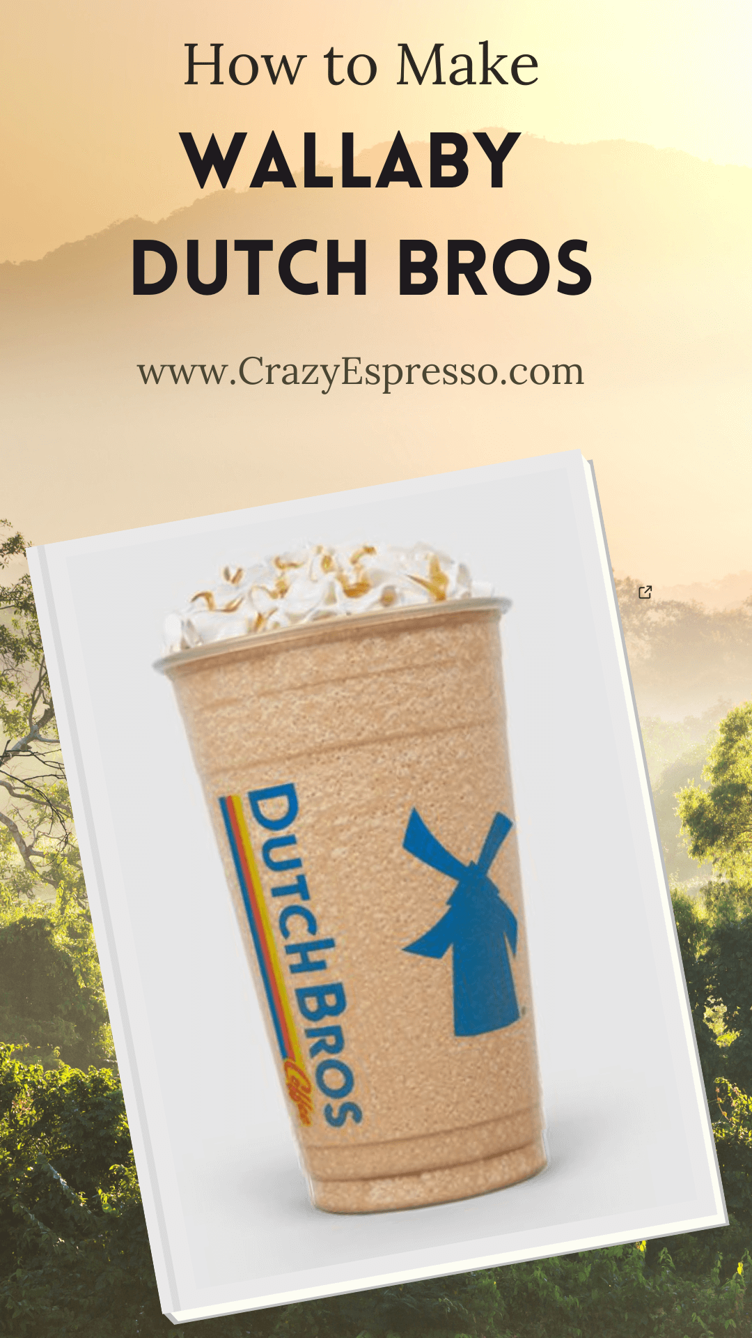 Wallaby Dutch Bros A Fruity and Creamy Drink