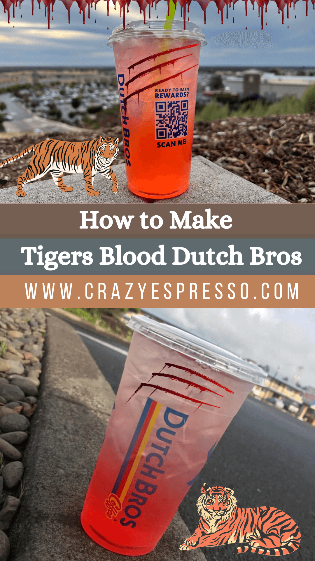 Tigers Blood Dutch Bros Recipe A Fruity and Sour Drink