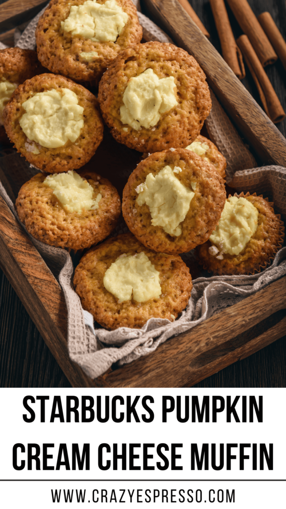 Starbucks Pumpkin Cream Cheese Muffin