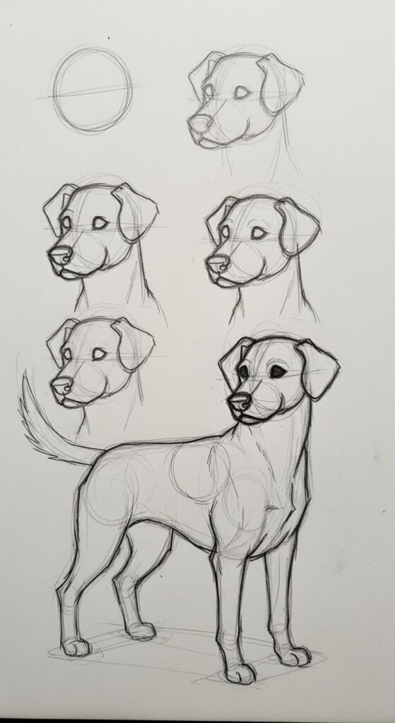 25 Cute Dog Drawing Ideas 20