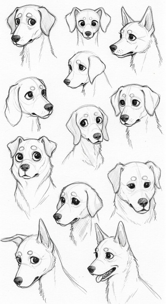 25 Dog Sketch Easy Step By Step Tutorial Drawing Ideas 27