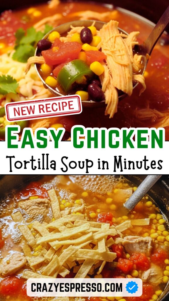 Chicken Tortilla Soup Recipe 1