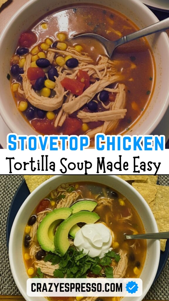 Chicken Tortilla Soup Recipe 2