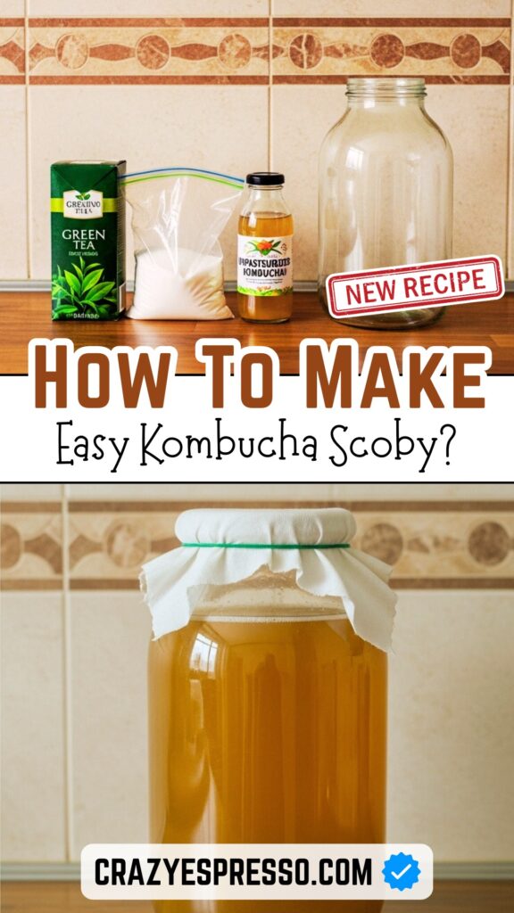 Kombucha Scoby Recipe 2 Kombucha Scoby Recipe 2