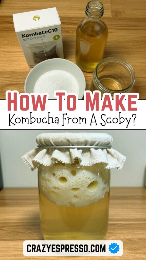 Kombucha Scoby Recipe 3 Kombucha Scoby Recipe 3