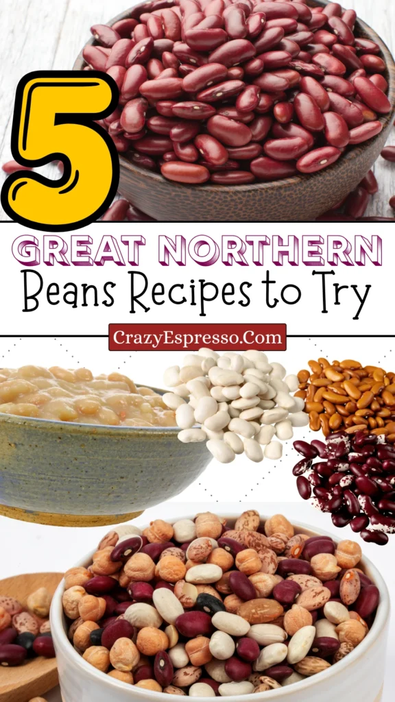 5 Great Northern Beans Recipe 5 Great Northern Beans Recipe